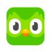 Duolingo 2022 online